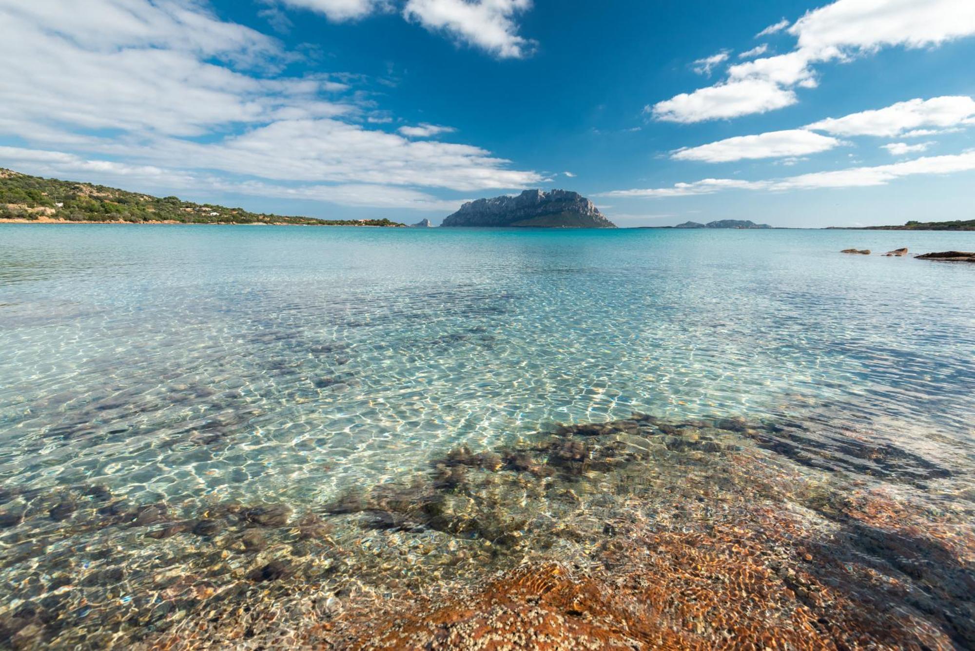 Majra - Klodge Olbia